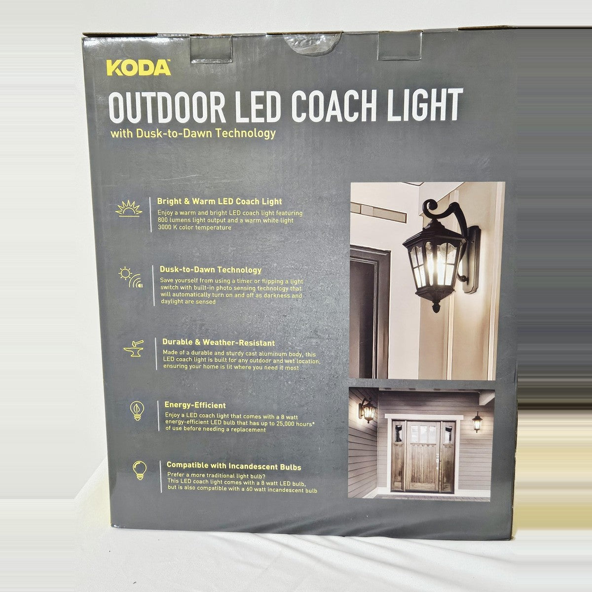Koda outdoor LED coach light box, back with features
